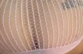 Davinaxx se divertindo de quatro com uma rola empinada!